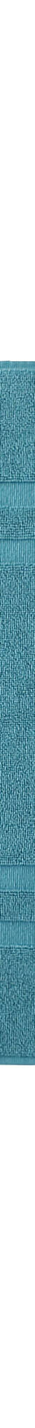 Tapis de bain éponge double liteau (vert canard) Tapis de bain éponge double liteau (vert canard)